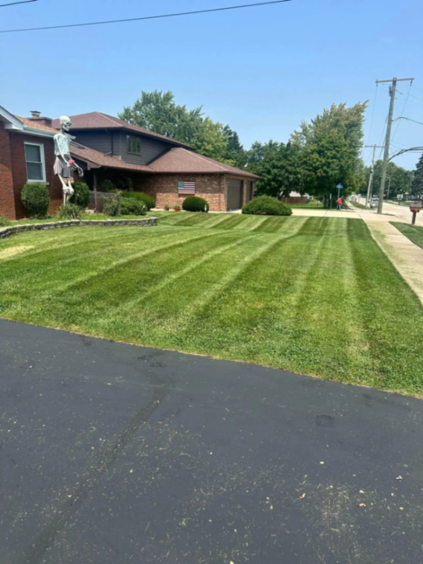 Front lawn with clean mowing stripes along a residential street