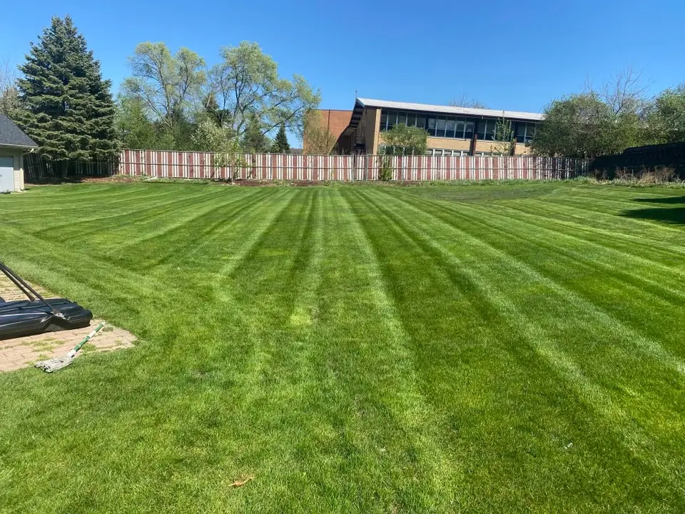 Large open lawn with even mowing stripes on a sunny day