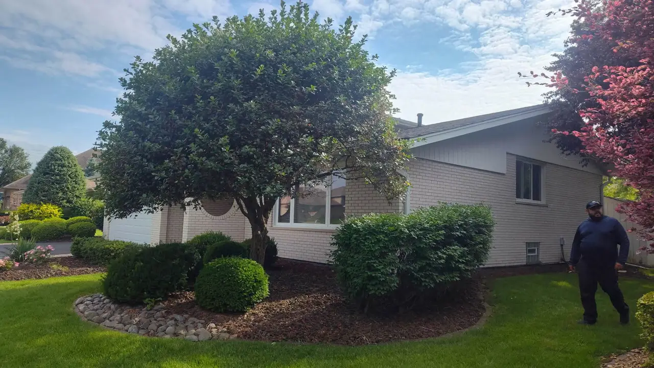 Shaped shrubs and mulched bed with stone edging around a brick ranch home