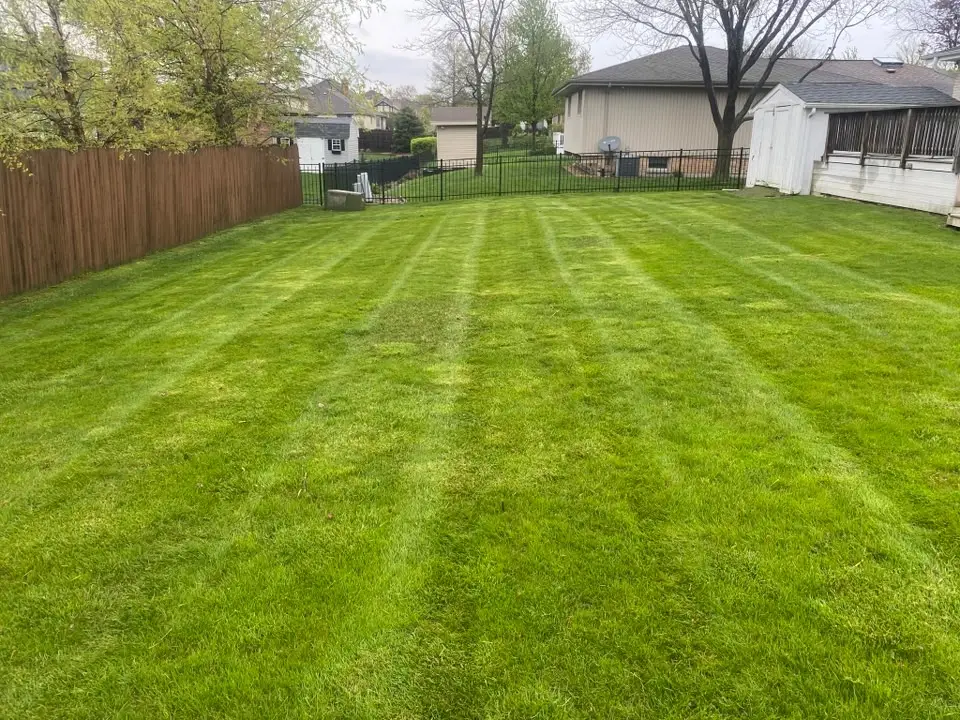Fenced backyard lawn with fresh mowing stripes