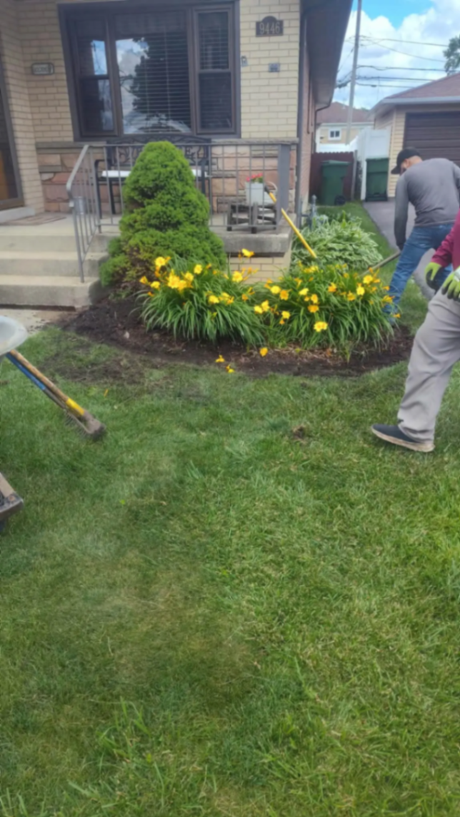 Crew edging and cleaning a front flower bed with blooming daylilies