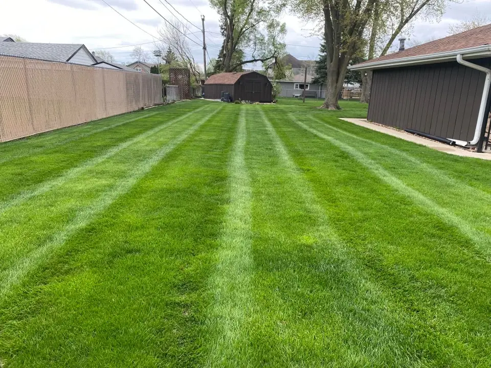Backyard lawn with crisp mowing stripes after service